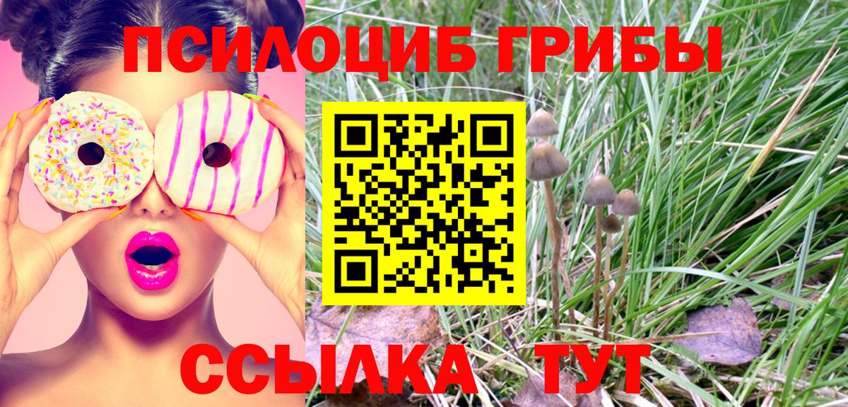 Галлюциногенные грибы прущие грибы Ялта